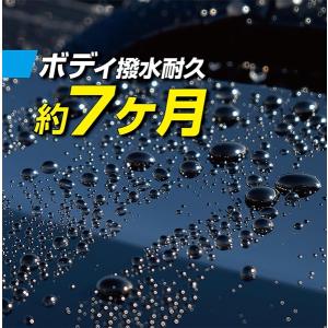 (新商品 / 送料無料) ソフト99 レインド...の詳細画像5