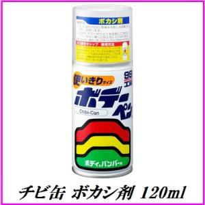 正規代理店 ソフト99 チビカン ボカシ剤 120ml （ボデーペン） SOFT99 ココバリュー｜cocovalue