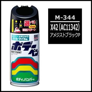 ソフト99 （正規代理店） ボデーペン T-189 （カラーナンバー 209