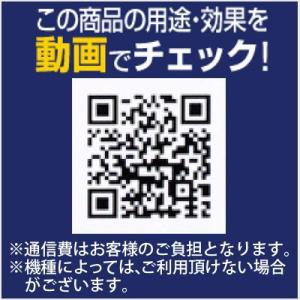 (正規代理店) ソフト99 アルミメッシュシー...の詳細画像1