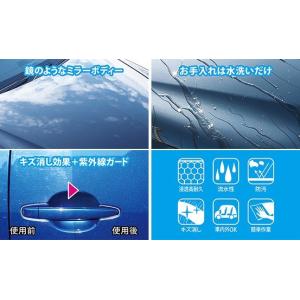 (正規代理店 / 20%増量中) プロスタッフ...の詳細画像1
