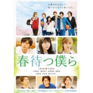 春待つ僕ら レンタル落ち 中古 DVD ケース無