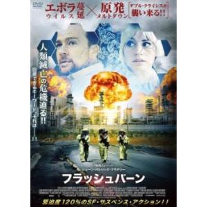 フラッシュバーン【字幕】 レンタル落ち 中古 DVD ケース無