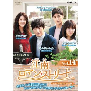 江南ロマン・ストリート スペシャルエディション版 14(第27話、第28話)【字幕】 レンタル落ち ...