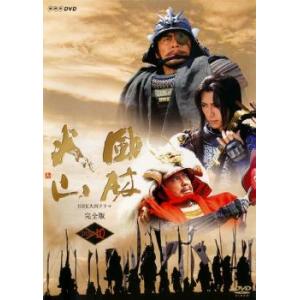 NHK 大河ドラマ 風林火山 完全版 第10巻(第36話〜第39話) レンタル落ち 中古 DVD ケ...