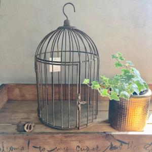 ガーデニング 雑貨 プランツケージ バードケージ 鳥かご 庭 ガーデン