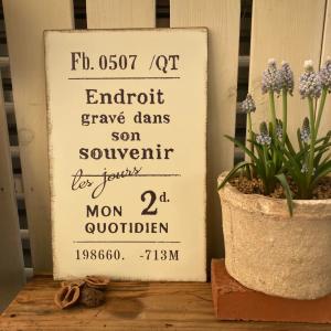 日限定07 コベントガーデン ブロア メッシュボードスタンド US-48 店内