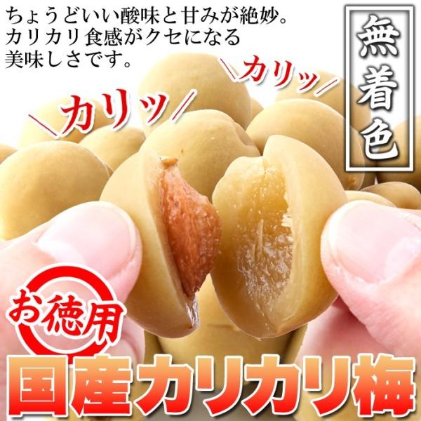 無着色 お徳用 国産カリカリ梅500g 国産梅100％使用 リニューアル 個包装 国産 カリカリ梅 ...