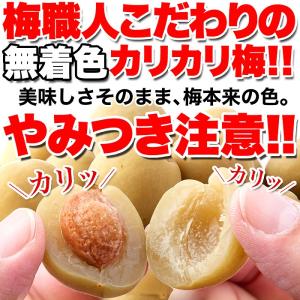 国産 カリカリ梅 500g 即納 無着色 お徳...の詳細画像2