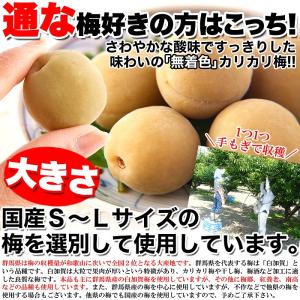 国産 カリカリ梅 500g 即納 無着色 お徳...の詳細画像3