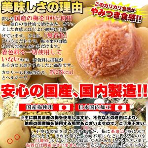 国産 カリカリ梅 500g 即納 無着色 お徳...の詳細画像4