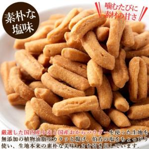 堅あげ プレーンかりんとう 1kg (250g...の詳細画像3