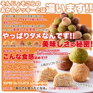 おから豆乳ソフトクッキー 1kg 送料無料 お...の詳細画像4