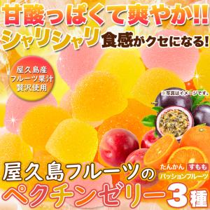 屋久島フルーツの ペクチンゼリー 3種 500...の詳細画像2