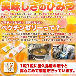 屋久島フルーツの ペクチンゼリー 3種 500...の詳細画像5