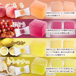 4種の国産果汁 ペクチンゼリー 500g 即納...の詳細画像4