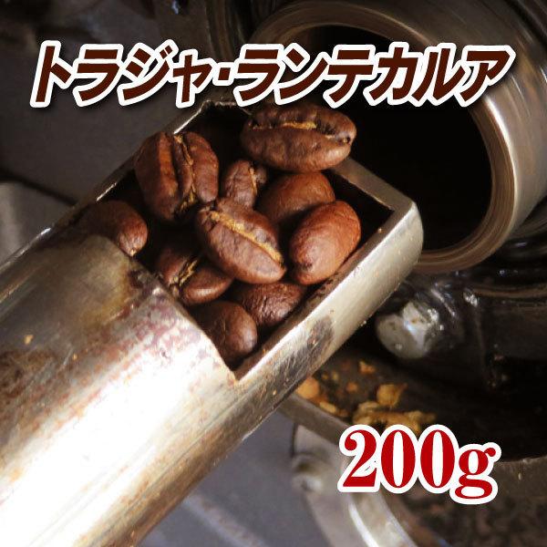 トラジャ・ランテカルア スロトコ農園 200g 焙煎コーヒー豆 送料無料 ゆうパケット発送※日時指定...