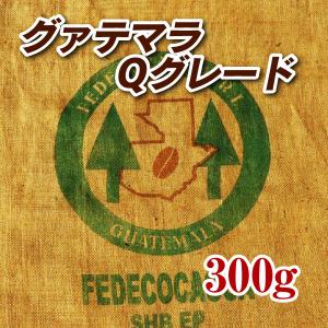 グァテマラQグレード パストレス 300g コーヒー豆 送料無料 ゆうパケット発送※日時指定できません｜coffee-city