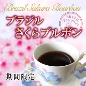 限定ブラジルさくらブルボン500g コーヒー豆 サンタルジア農園 ストレートコーヒ 送料無料 クリックポスト発送・日時指定できません