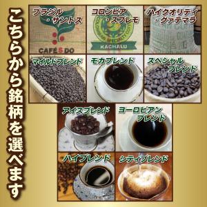 お試し ポイント消化 コーヒー豆 20g 超少...の詳細画像2