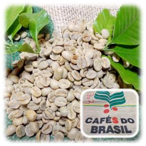 ブラジル サントスNo.2（400g）｜coffee-mameyou