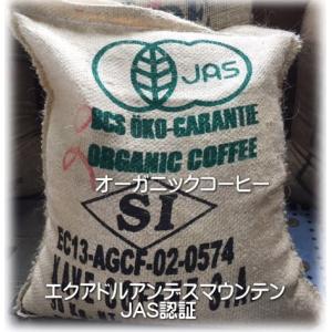 コーヒー豆　アンデスマウンテン　内容量250g　焙煎したて／オーガニックコーヒー／エクアドル｜coffee-seikatsu
