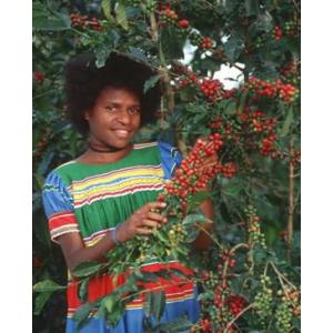 ニューギニア・ブンヌウー　内容量250g　焙煎したてのスペシャルティーコーヒー豆