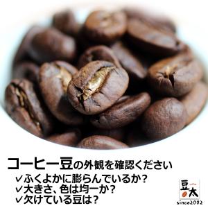 コーヒー豆 選べるセット 12銘柄から4種類　計1,200g｜焙煎工房 豆太 Yahoo!店