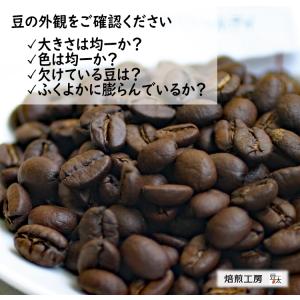 コーヒー豆 元祖!訳ありコーヒー 単一銘柄=ブ...の詳細画像1