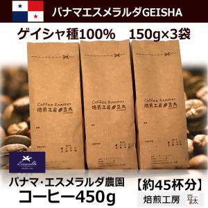 コーヒー豆 パナマゲイシャ 150g×3袋　豆のまま限定