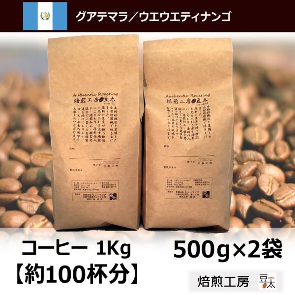 グァテマラ コーヒー豆 1kg ウエウエティナンゴ 500g×2袋