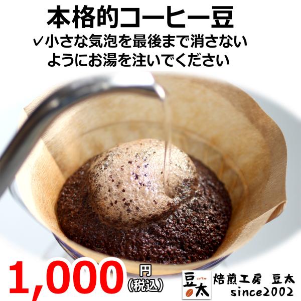 高品質コーヒー豆をお試し　本格的風味をお試しサイズ　ブレンド無し 75g×1袋　豆のまま限定　【mg...