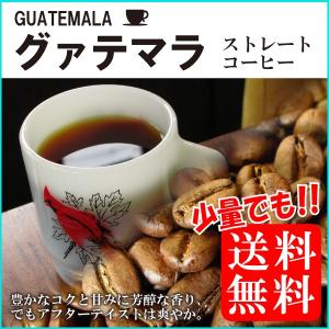 コーヒー豆/粉 グァテマラSHB 中深煎り-150gメール便　ポイント消化 送料無 食品 お試し