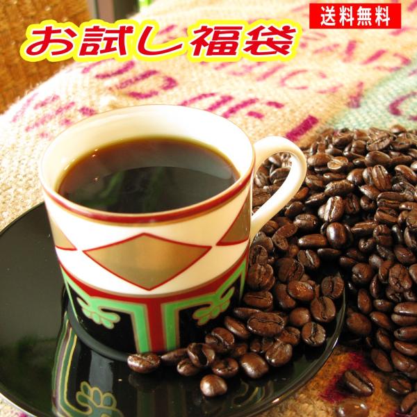 コーヒー豆 お試し 浅煎り 中深煎り ブラジル80g マンデリンブレンド80g （清流長良川）メール...