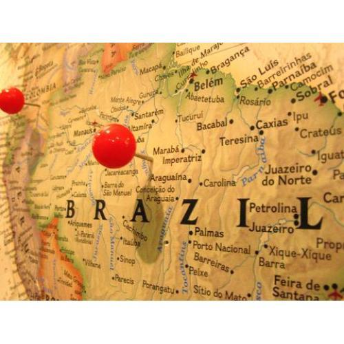 送料無料  ブラジル 800g 80杯〜90杯 コーヒー豆/ナッツのような、甘く香ばしい華やかな香り...