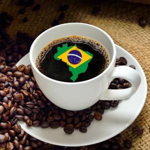 【CP】 ブラジル オーコーヒー (100g)  【自家焙煎コーヒー豆 合計600gの注文でクリックポスト送料無料】