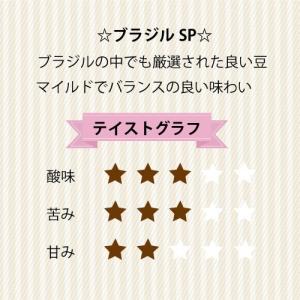 コーヒー豆 ブラジル SP 中煎り 1k 自家焙煎の詳細画像2