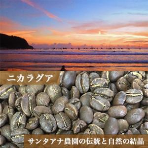コーヒー豆　ニカラグア　サンタアナ農園　中煎り　１００g　自家焙煎