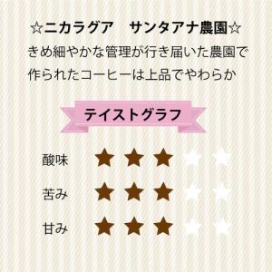 コーヒー豆 ニカラグア サンタアナ農園 中煎り...の詳細画像2