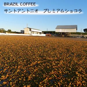 コーヒー豆　ブラジル　プレミアムショコラ　中煎り　100g　自家焙煎