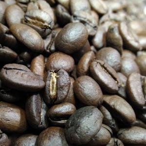 コーヒー豆 ブラジル プレミアムショコラ 中煎...の詳細画像4