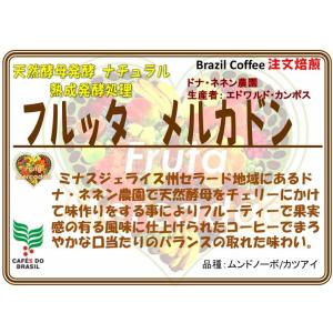 ブラジル　フルッタ　メルカドン   　　200g｜coffeesaikoubou