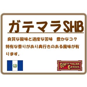 グァテマラ　SHB　２００ｇ