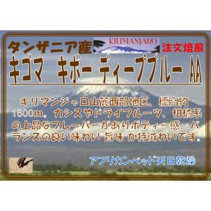 タンザニア　キゴマ　キボー ディープブルー AA　２００ｇ