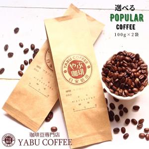 コーヒー豆 自家焙煎 珈琲豆屋 種類 送料無料 メール便 人気コーヒー から選ぶ お試し セット 100g × 2袋 |飲み比べ 高級 小型 焙煎機 生豆 豆 粉 ゆうパケット