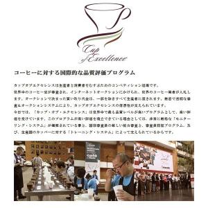 ●【2021】エチオピア国際品評会12位「アリ...の詳細画像5