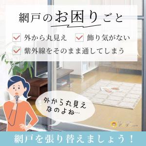 網戸 張り替え 目隠し レース 虫よけ 玄関網...の詳細画像1