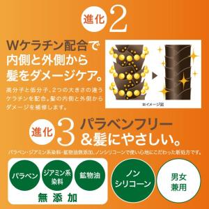 【詰め替え用】 白髪染めシャンプー 白髪染めト...の詳細画像4