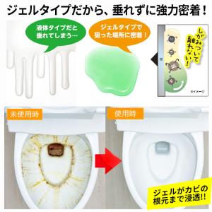 尿石除去剤 尿石落とし トイレ 掃除 洗剤 ジ...の詳細画像1