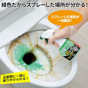 尿石除去剤 尿石落とし トイレ 掃除 洗剤 ジ...の詳細画像2